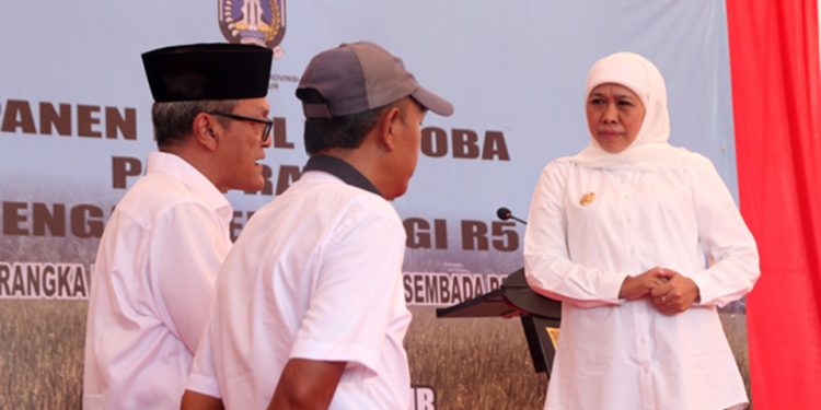 Panen Lima Kali Berkat R5