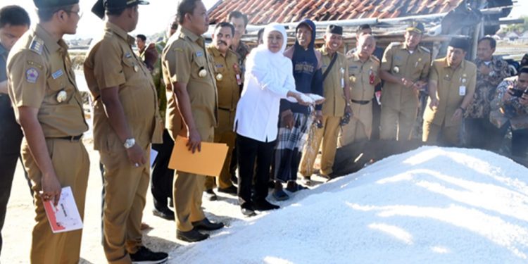 Harga Garam di Madura “Terjun Bebas”