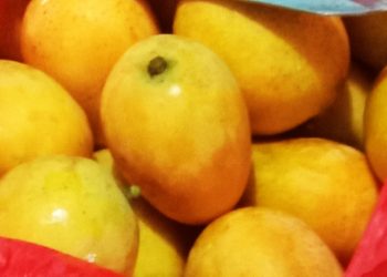 Buah Berkah Warga Ujung Meriah