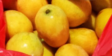 Buah Berkah Warga Ujung Meriah