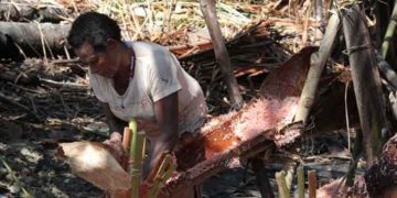 Alokasi Dana Otonomi Khusus Papua 2020 Rp8,374 Triliun