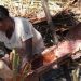 Alokasi Dana Otonomi Khusus Papua 2020 Rp8,374 Triliun