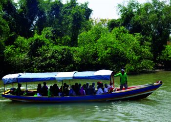 Kicau Burung dan Hijau Mangrove Selat Madura