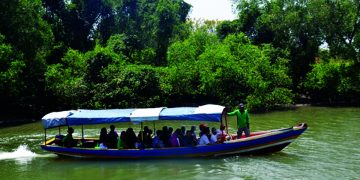 Kicau Burung dan Hijau Mangrove Selat Madura