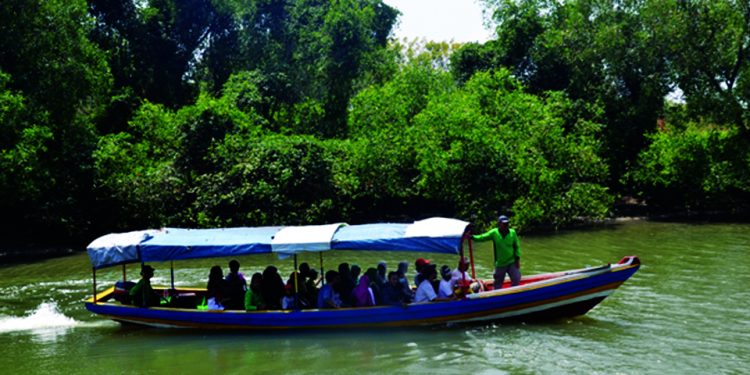 Kicau Burung dan Hijau Mangrove Selat Madura