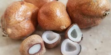 Zuriat untuk si Buah Hati