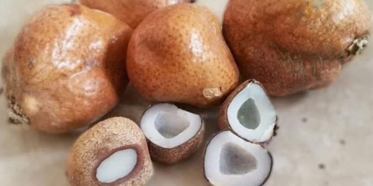 Zuriat untuk si Buah Hati