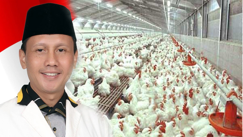  Pemerintah Belum Atasi Anjloknya Harga Ayam