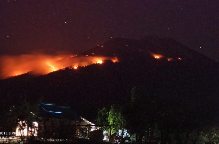  Lontaran Lava Pijar Erupsi Gunung Ile Lewotolok Sebabkan Kebakaran Hutan dan Lahan