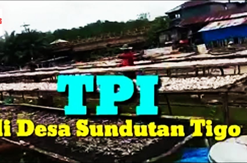 TPI, bukan Pelelangan tapi Penjemuran Ikan
