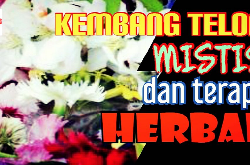 Kembang Telon, Mistis tapi Berkhasiat Herbal