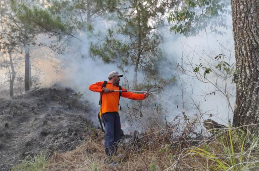  Lahan dan Semak Taman Wisata Alam Gunung Batur Bukit Payang Bangli  Terbakar