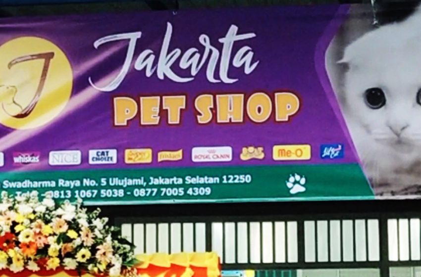  Jakarta Petshop, Lengkap dan Bersahabat