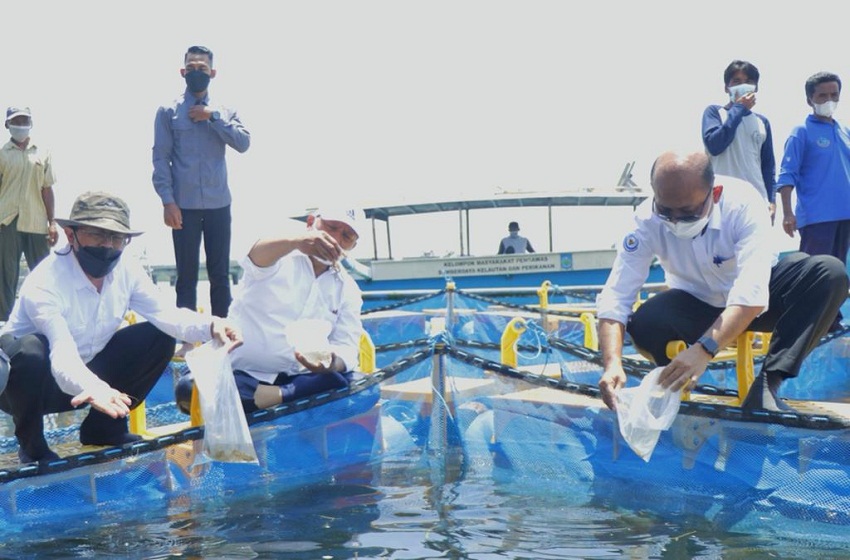  KKP Canangkan Kampung Perikanan Budidaya Lobster di Kabupaten Lombok Timur