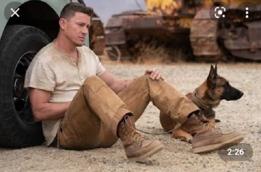  ‘Dog’ – Persahabatan Tentara AD dengan Anjing Militer