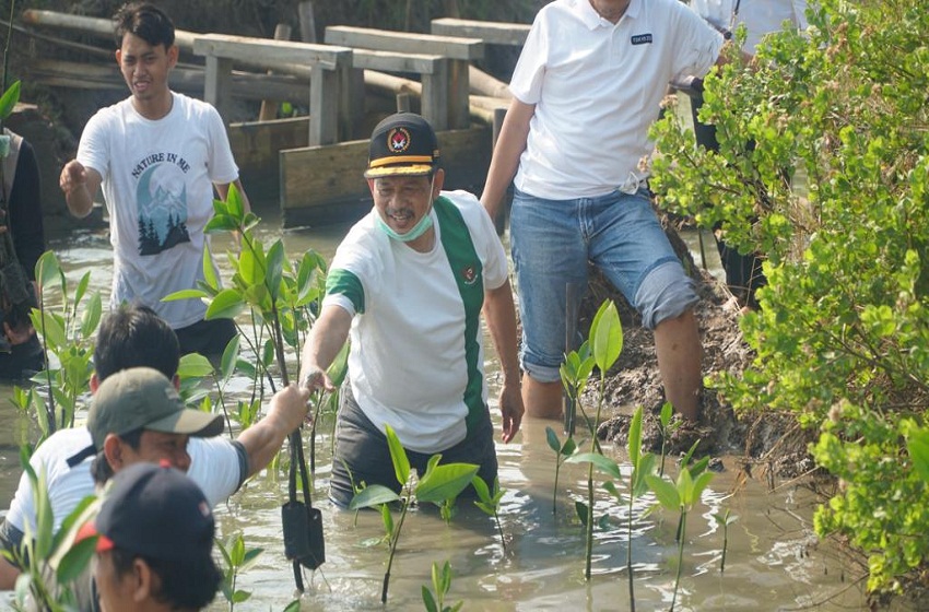  Hari Lingkungan Hidup Sedunia, Kemenko PMK Tanam 10 Ribu Mangrove