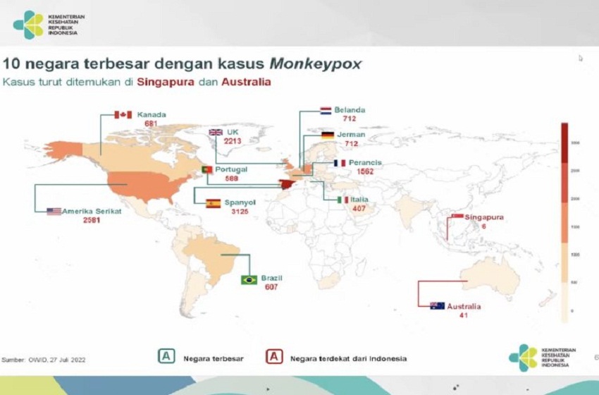  Kemenkes: Kasus Cacar Monyet Belum Ditemukan di Indonesia