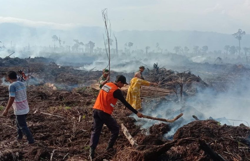  Api Bakar Hutan dan Lahan Beberapa Gampong Aceh Selatan
