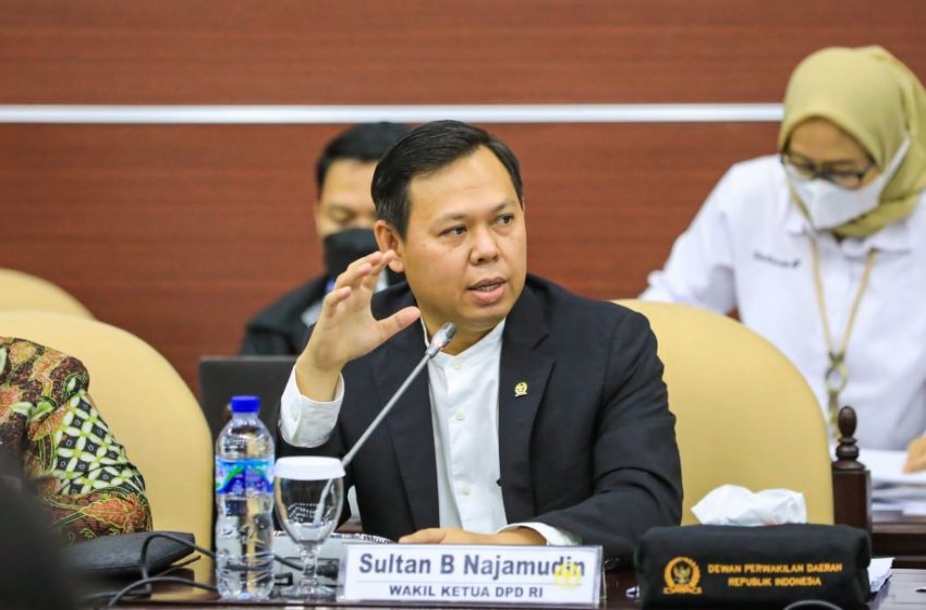  Kritisi Putusan MK, Sultan: Kinerja Menteri Terganggu jika Ikut Kontestasi Pilpres
