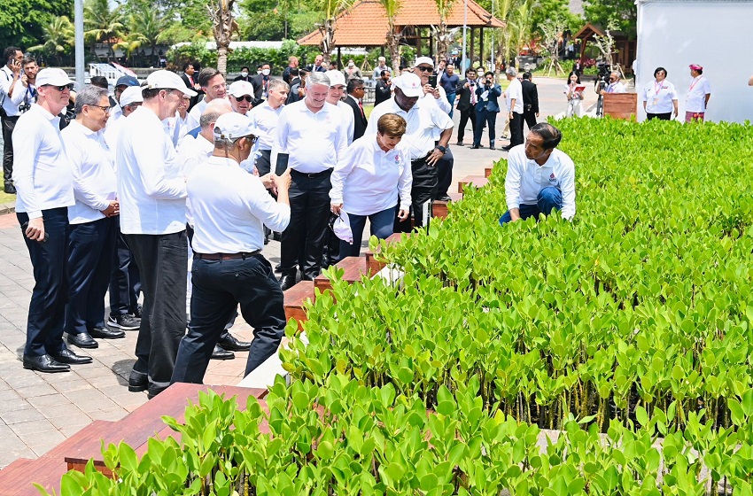  Presiden dan Para Pemimpin Negara G20 Tanam Pohon Mangrove di Tahura