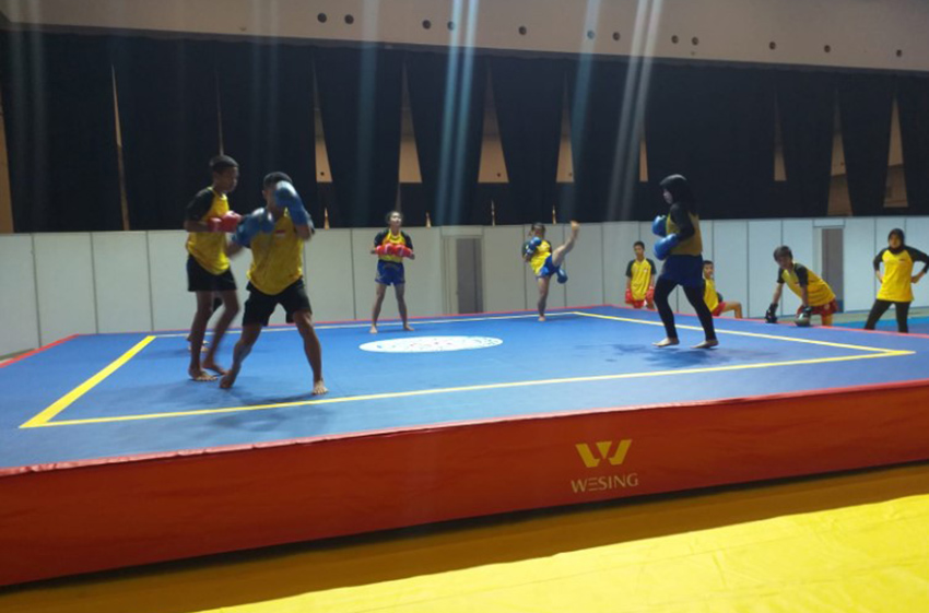  Kejuaraan Dunia Wushu Junior VIII/2022: Sudarsono tak Ragukan Kemampuan Pasukan Merah Putih
