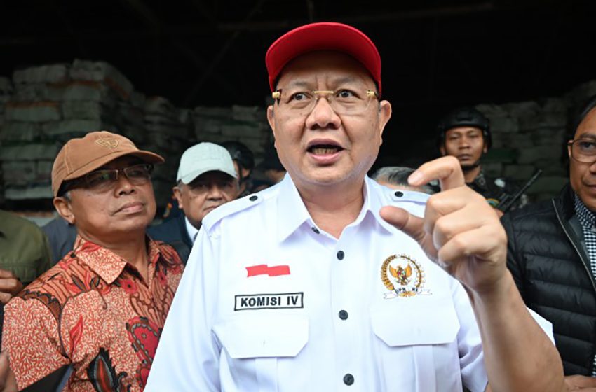 Komisi IV Temukan Produk Arang Ilegal, Ancam Keberadaan Mangrove