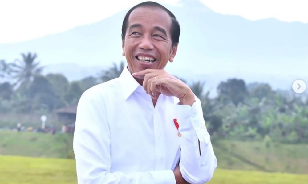 Jika PDIP tak Gabung Koalisi Besar, Presiden Jokowi Lebih Leluasa Jadi King Maker