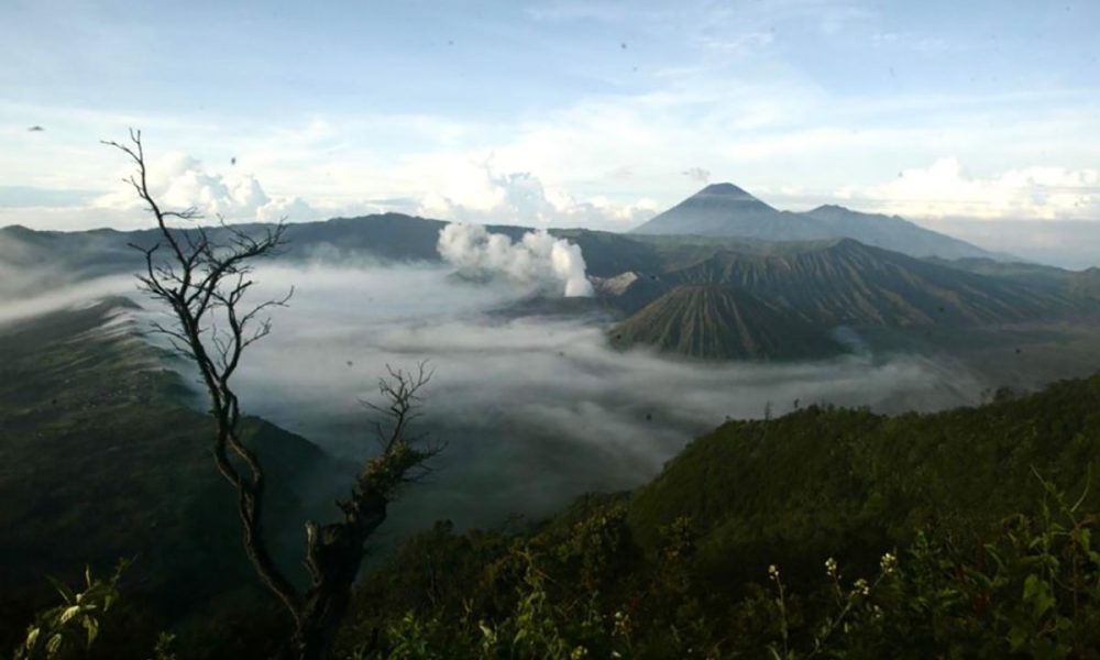 Ramai-Ramai Menikmati Fenomena Frozen Gunung Bromo, “Lautan Pasirnya Putih Seperti Salju”
