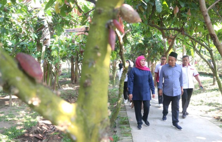 ‘Kampung Coklat Blitar’ Mampu Tingkatkan Kesejahteraan Masyarakat