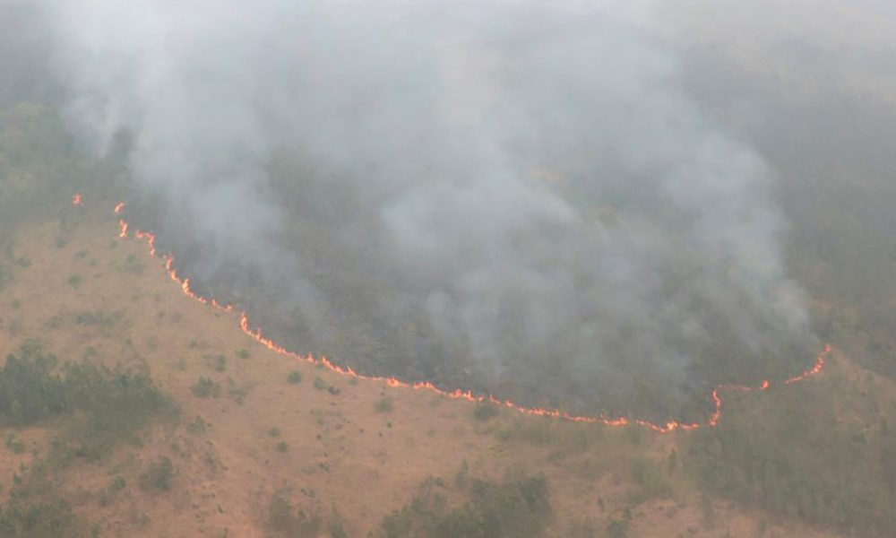 Gubernur Khofifah Pimpin Operasi Water Bombing untuk Hentikan Karhutla Gunung Arjuno