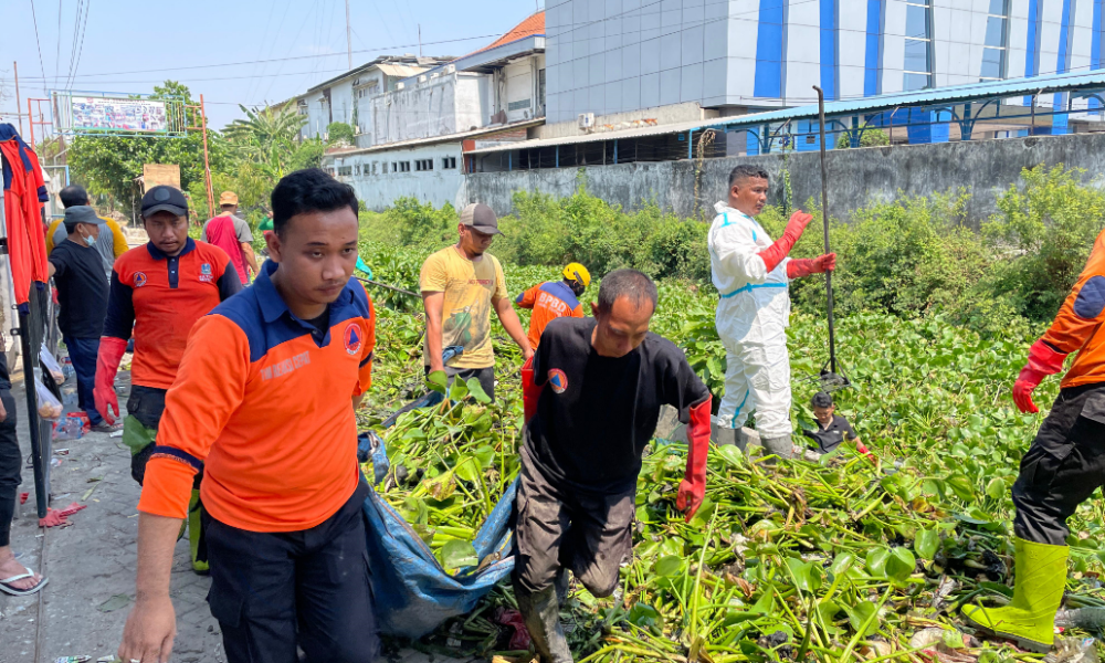 Antisipasi Musim Hujan November, Eceng Gondok yang Memenuhi Sungai Sinir Dibersihkan
