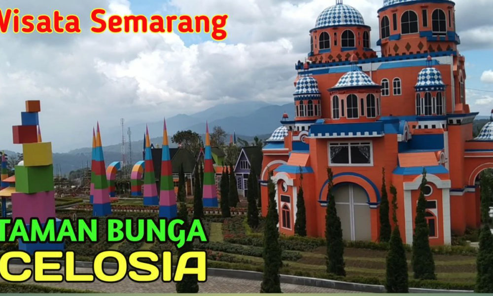 Celosia, Taman Bunga Tercantik di Semarang