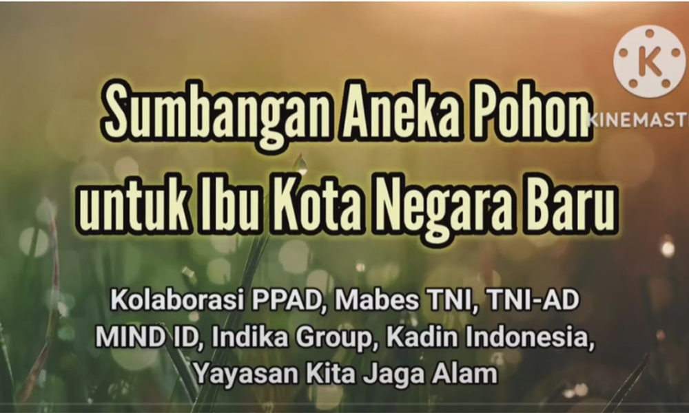 Sumbangan Aneka Pohon untuk Ibu Kota Negara Baru