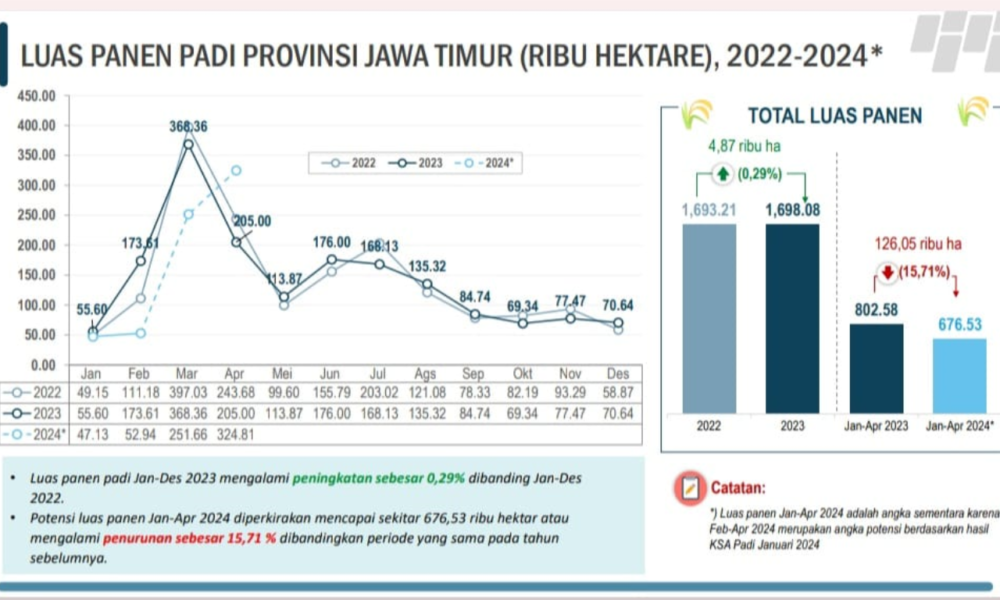 Luas Panen Padi Jatim Naik 0,29% pada 2023