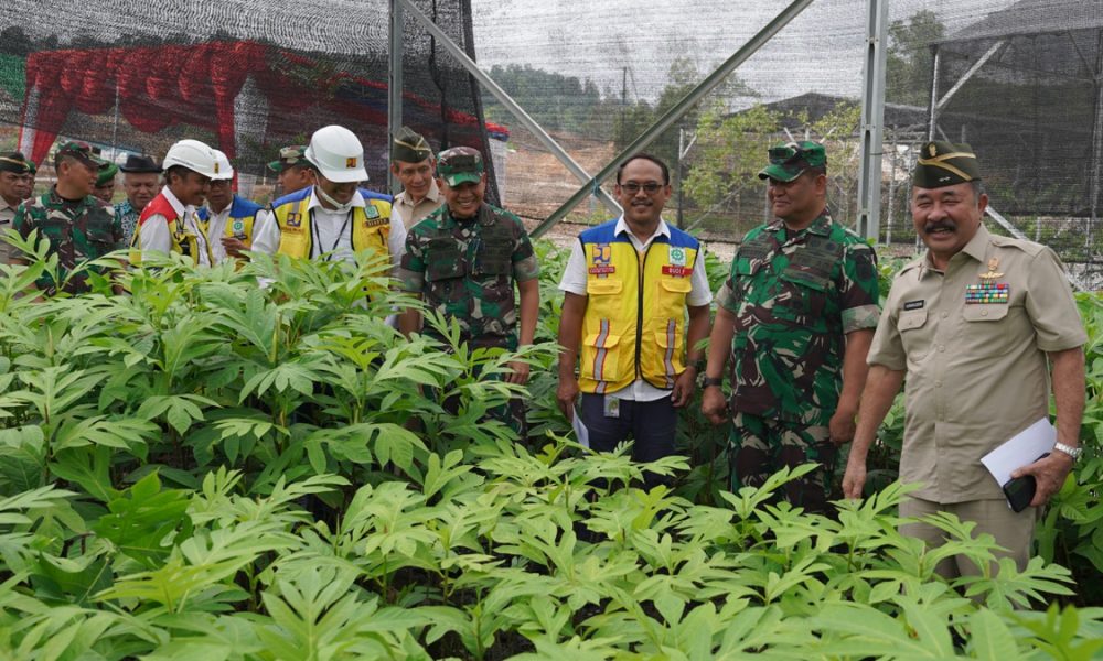 PPAD Serahkan Nursery dan Bibit Pohon untuk IKN