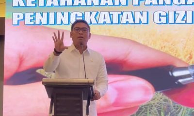 Program Cetak Sawah untuk Perkuat Ketahanan Pangan