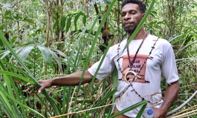Perjuangan Selamatkan Hutan Papua Kian Berat Setelah MA Tolak Kasasi
