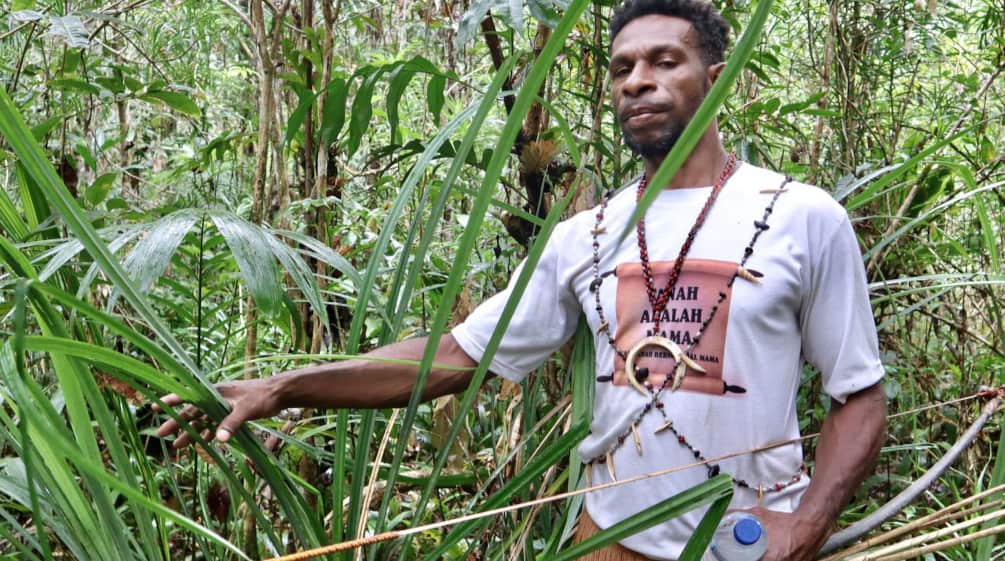 Perjuangan Selamatkan Hutan Papua Kian Berat Setelah MA Tolak Kasasi