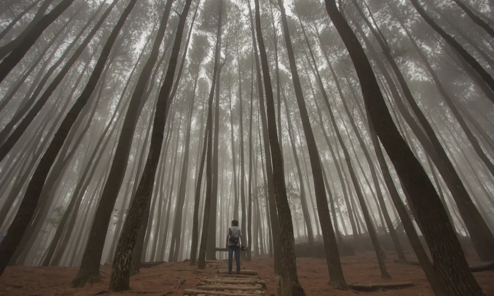 Ini Dia 5 Destinasi Wisata yang Jadi Lokasi Syuting Film Horor, Berani Datang?