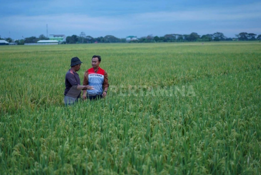 Pertamina Terus Tambah Jumlah Desa di Program Desa Energi Berdikari