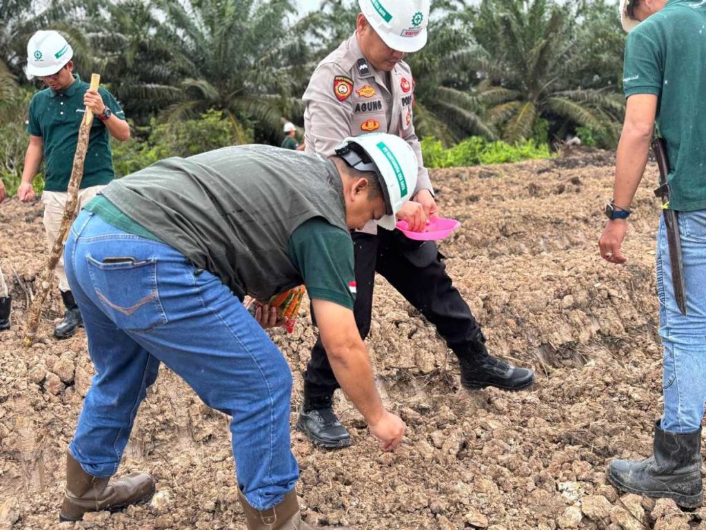 Astra Agro Lestari Tanam Jagung Serentak di Seluru Area Kebun