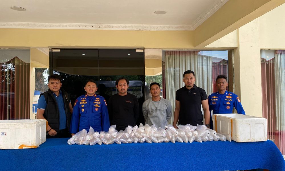 Polri Gagalkan Penyelundupan Ribuan Benih Lobster Senilai Ratusan Juta