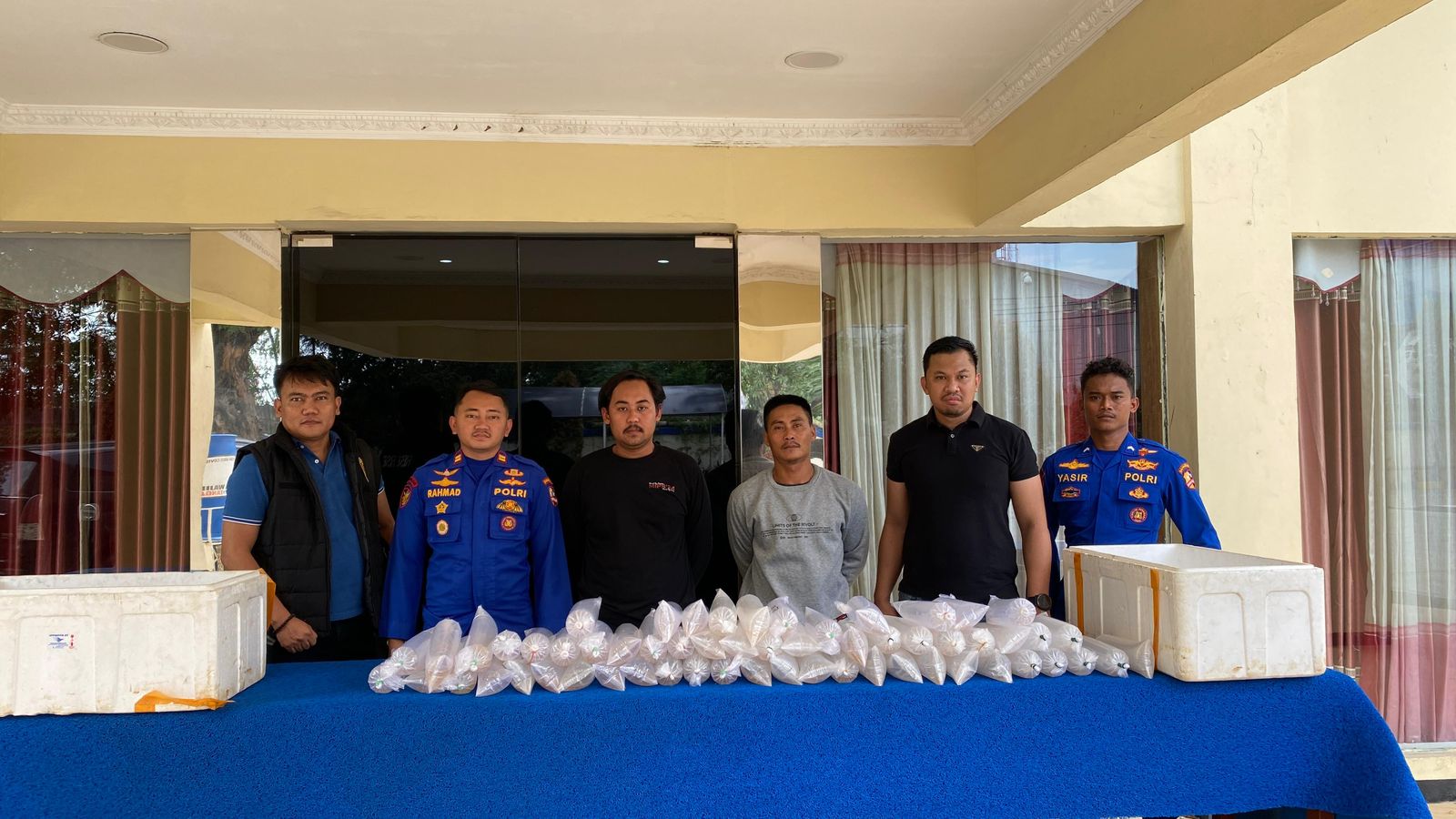 Polri Gagalkan Penyelundupan Ribuan Benih Lobster Senilai Ratusan Juta