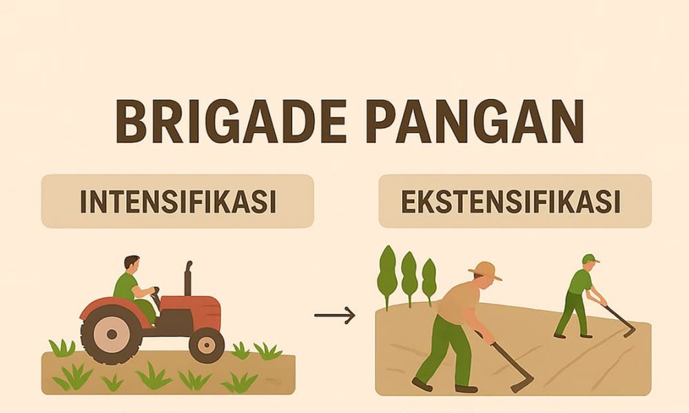 Brigade Pangan: Dari Lahan Tidur Menuju Ketahanan Nasional
