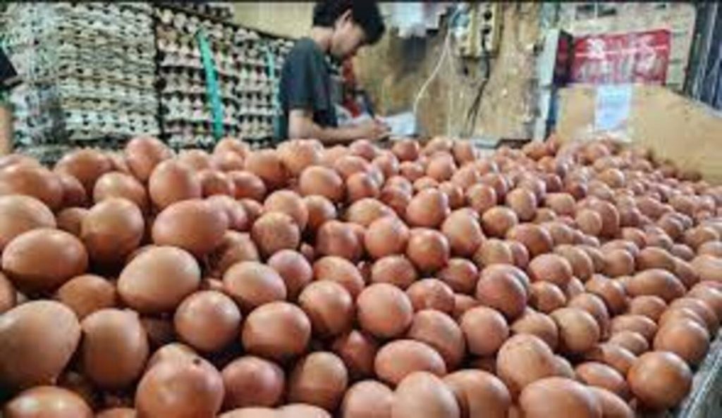 Para Peternak Sebut tak Ada Kenaikan Harga Telur