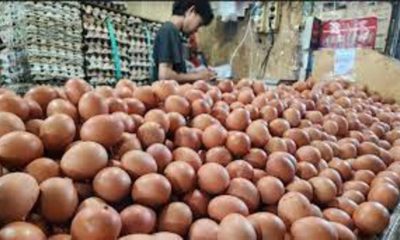 Para Peternak Sebut tak Ada Kenaikan Harga Telur
