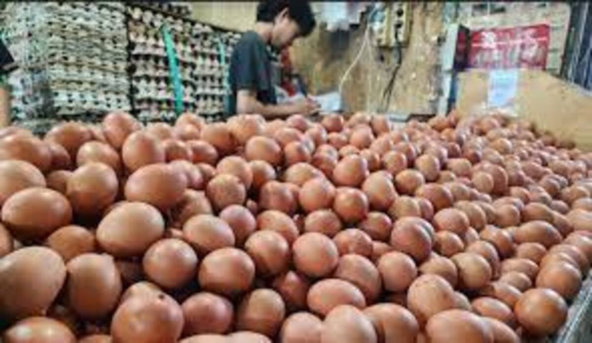 Para Peternak Sebut tak Ada Kenaikan Harga Telur