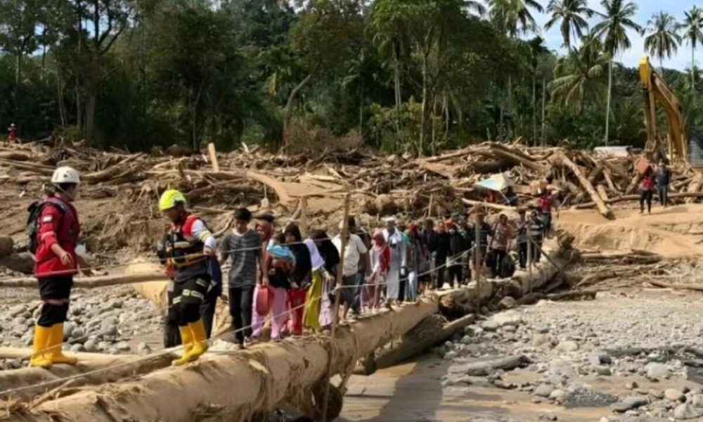 Kemenhut Terus Selidik Aktivitas Penebangan Liar Di Sumatera