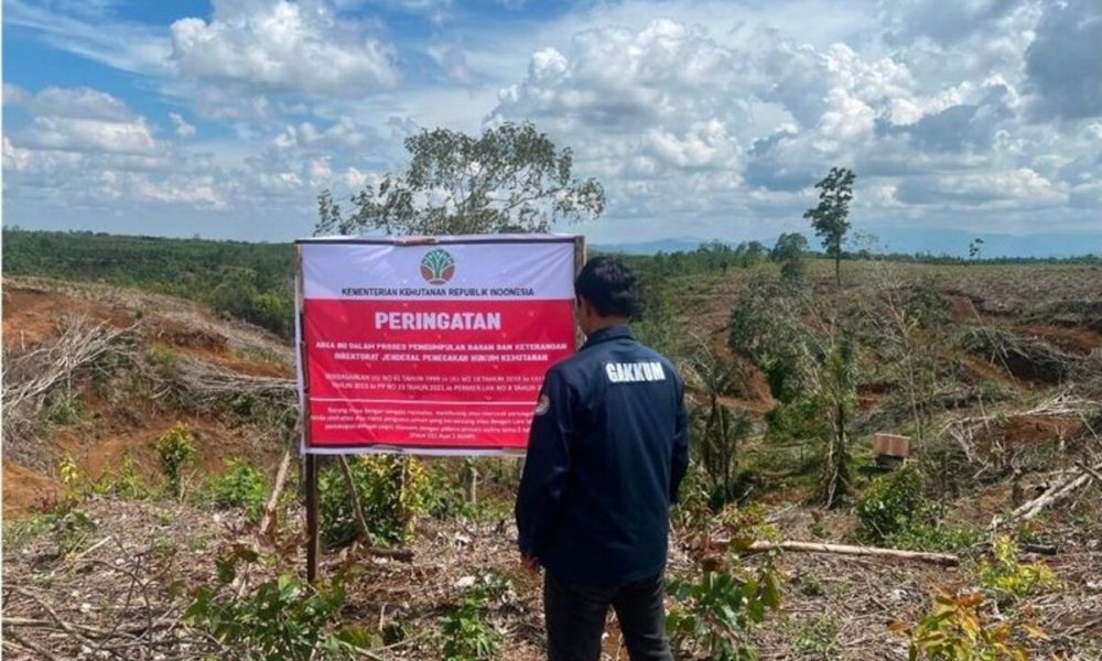 Kemenhut Ungkap Terdapat Indikasi Kerusakan Lingkungan di Hulu Batang Toru