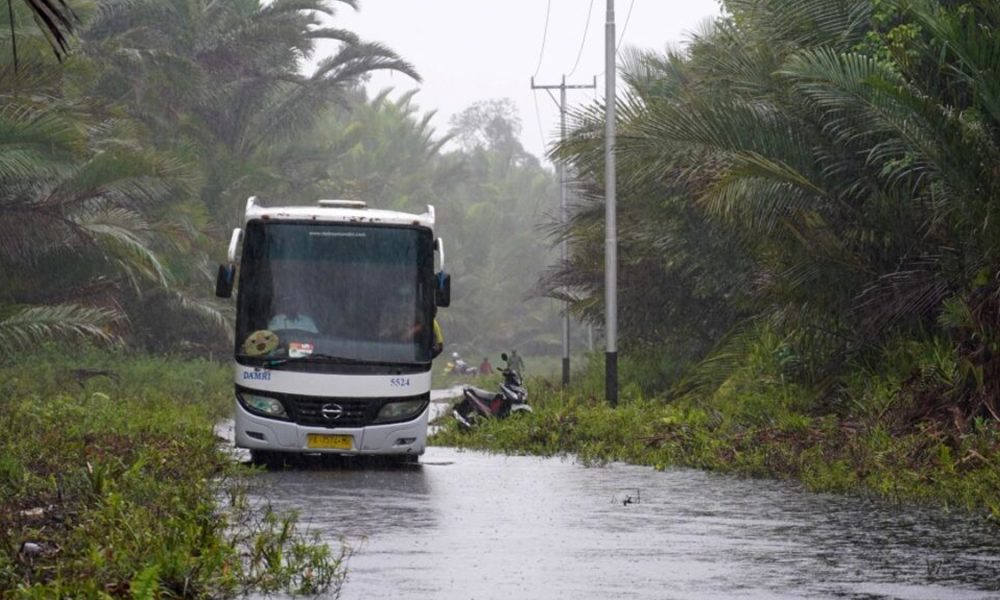 Transportasi Perintis : Solusi Vital Pemulihan Daerah Terdampak Bencana Sumatera